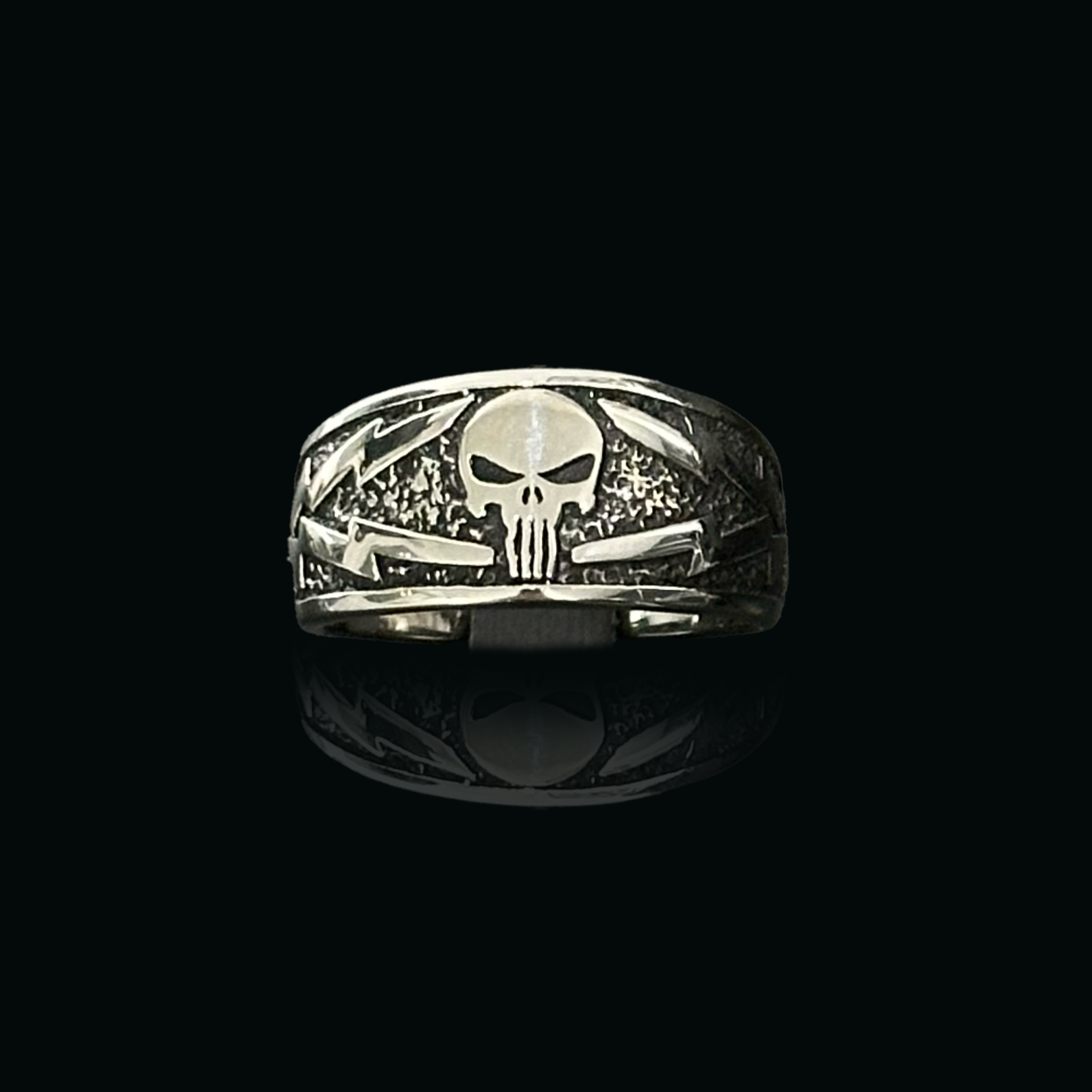 THE PUNISHER